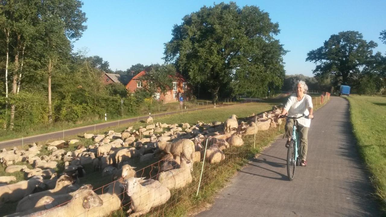 Schillers Stadthaus Hitzacker Eksteriør bilde