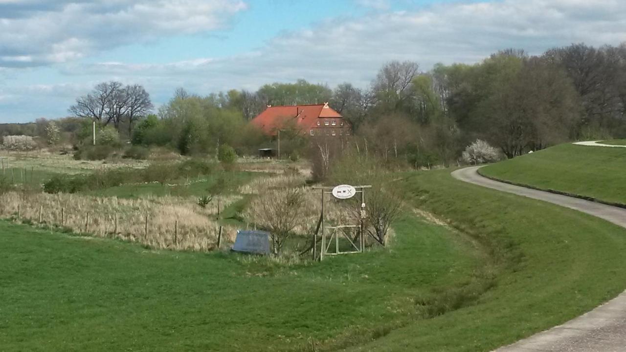 Schillers Stadthaus Hitzacker Eksteriør bilde